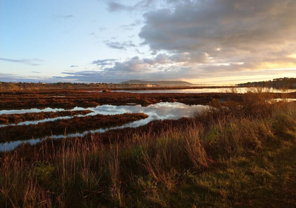 Photo of Others in Bouzigues