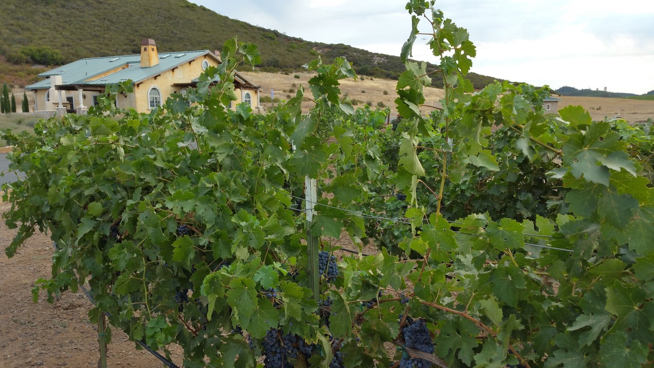 Photo of Outdoor in Lower Lake