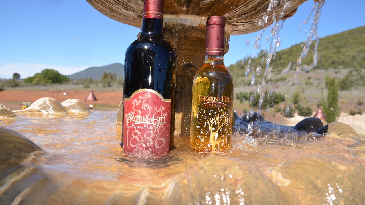 Photo of Others in Lower Lake