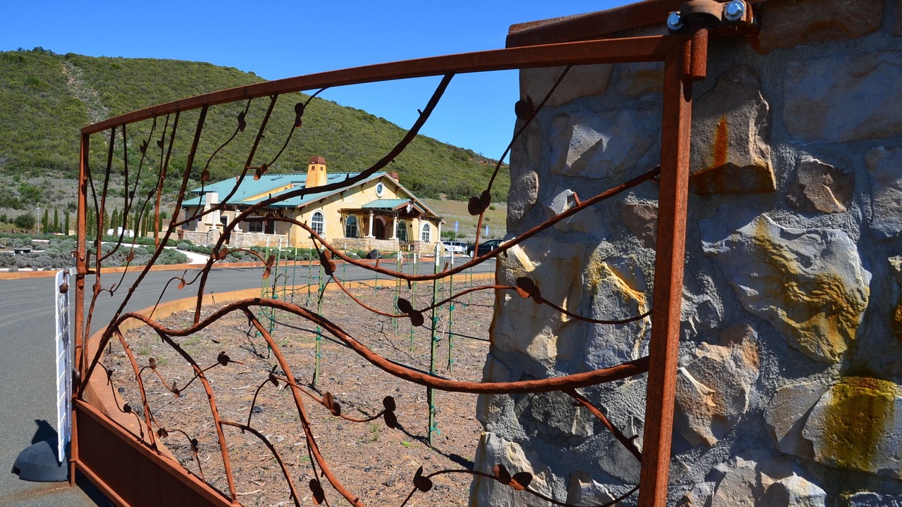 Photo of Outdoor in Lower Lake