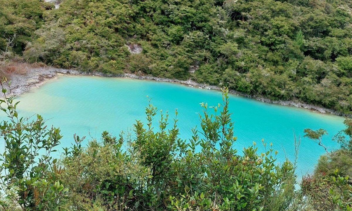 Photo of Outdoor in Rerewhakaaitu