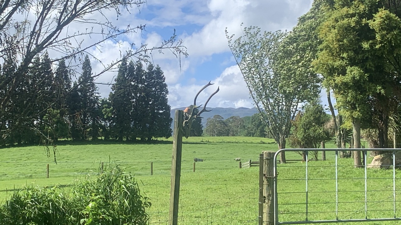 Photo of Others in Rerewhakaaitu