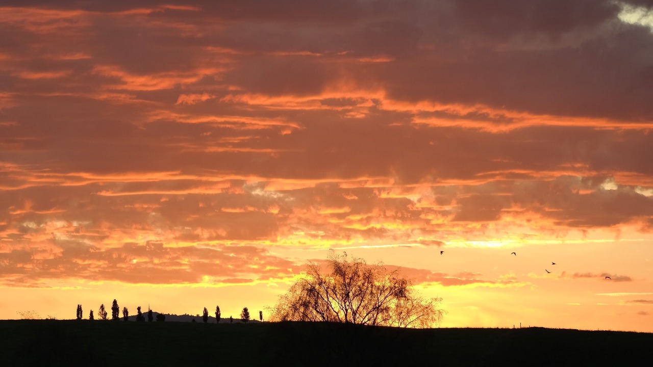 Photo of Outdoor in Rerewhakaaitu