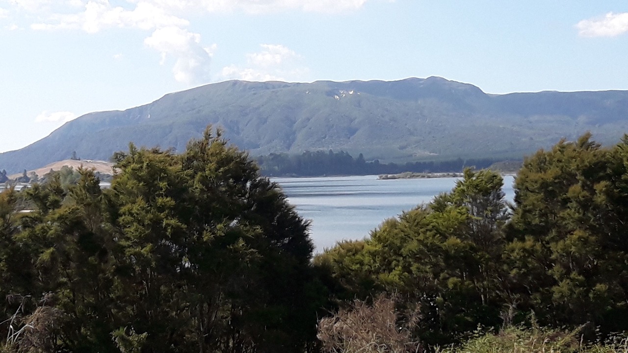 Photo of Others in Rerewhakaaitu