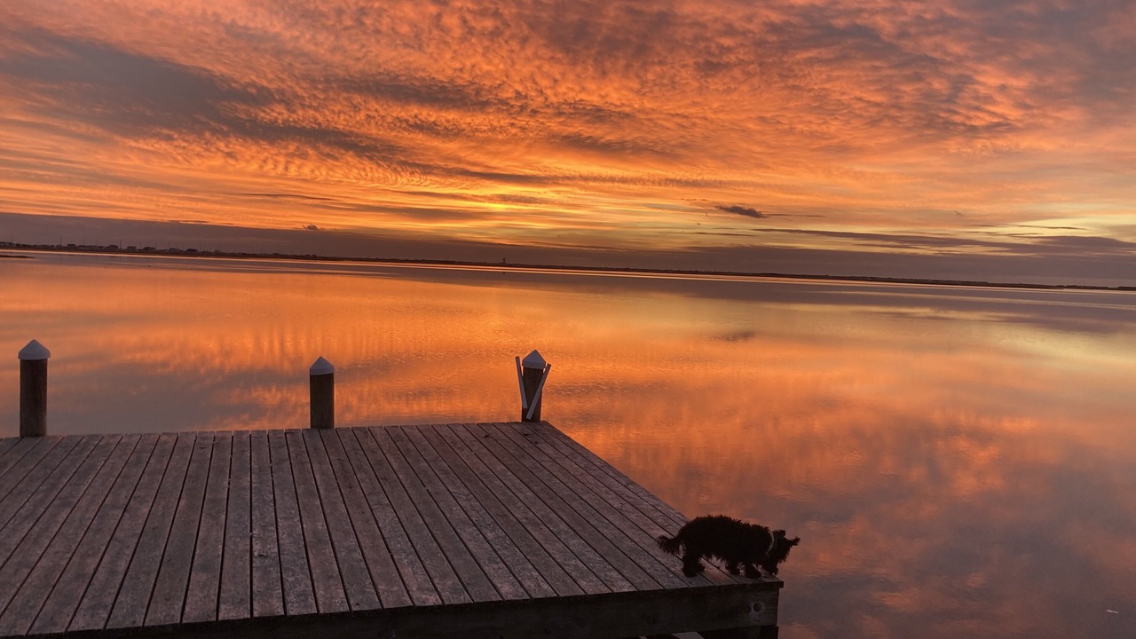 Photo of Others in Cape May Court House