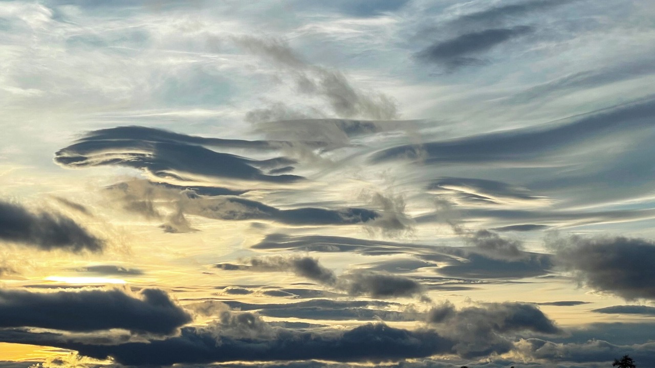 Photo of Others in Lairg