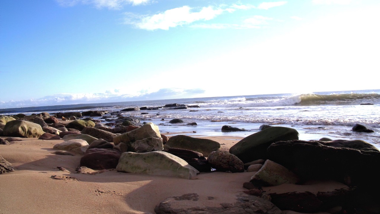 Photo of Others in Lairg