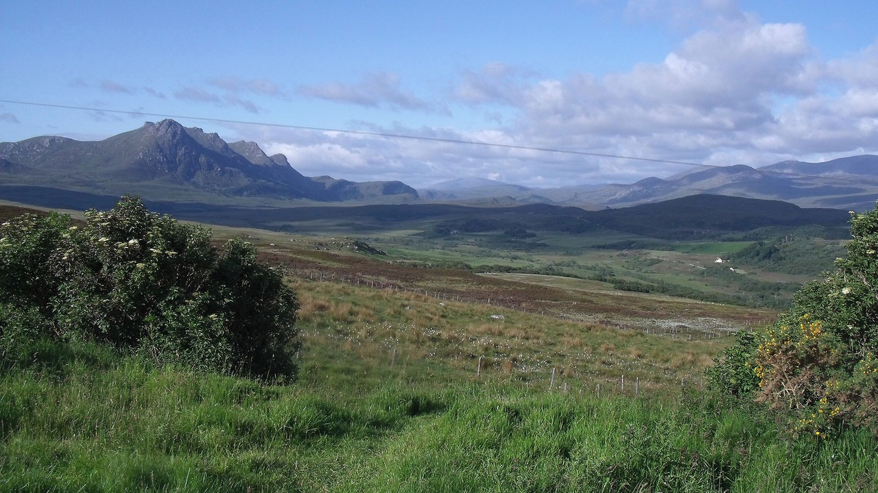 Photo of Others in Lairg