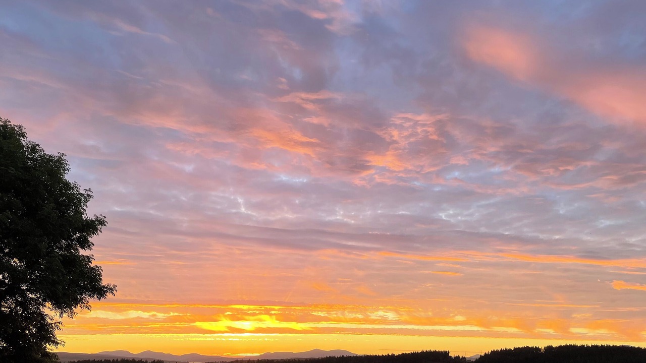 Photo of Others in Lairg