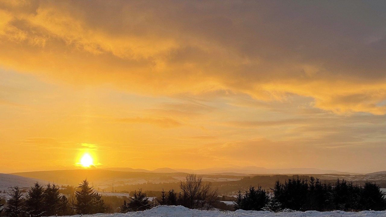 Photo of Others in Lairg