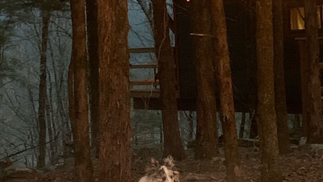 Photo of Outdoor in Alix