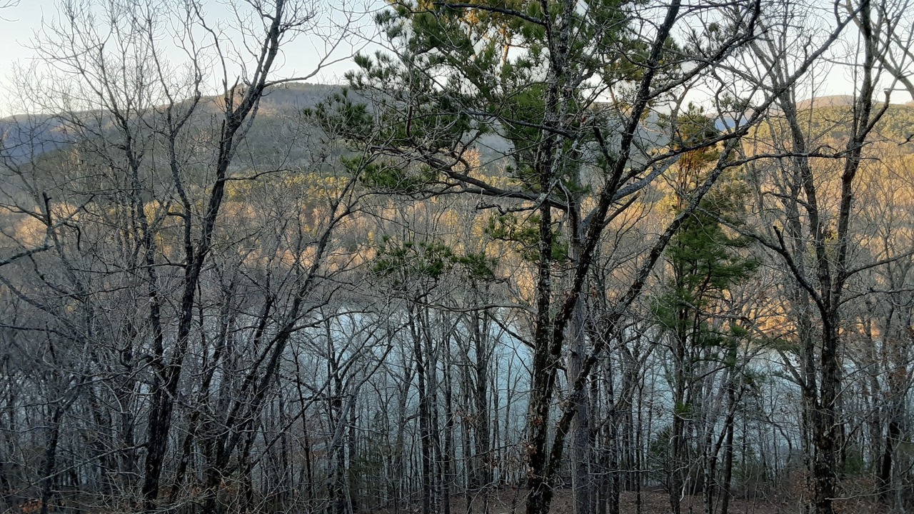 Photo of Outdoor in Alix