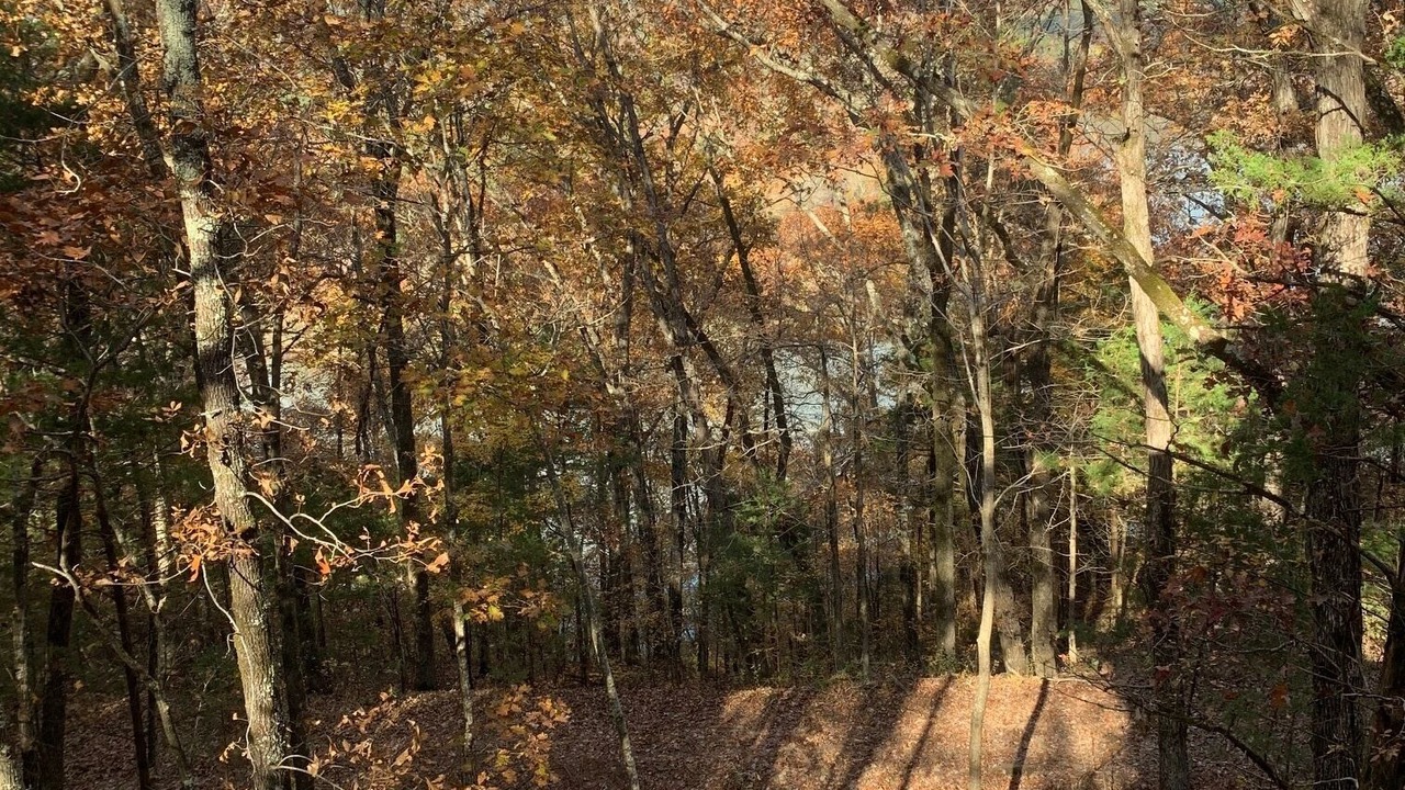 Photo of Outdoor in Alix