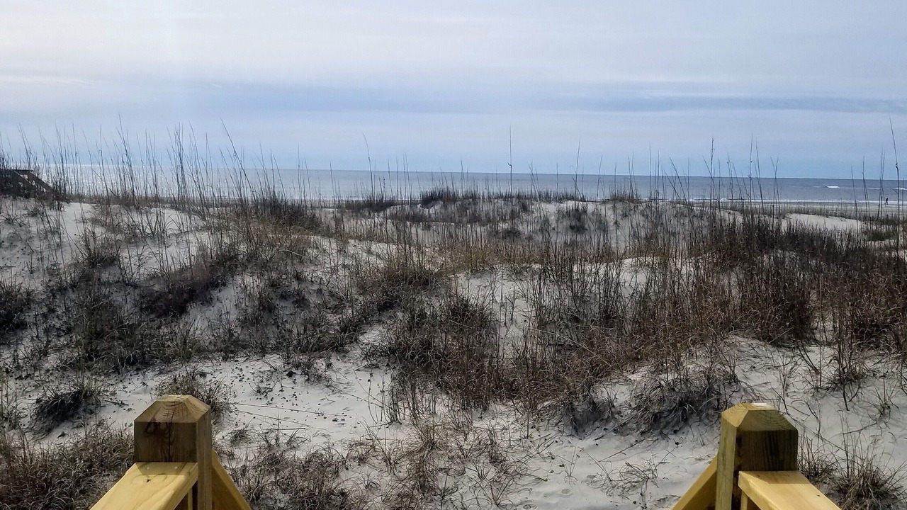 Photo of Others in The Point
