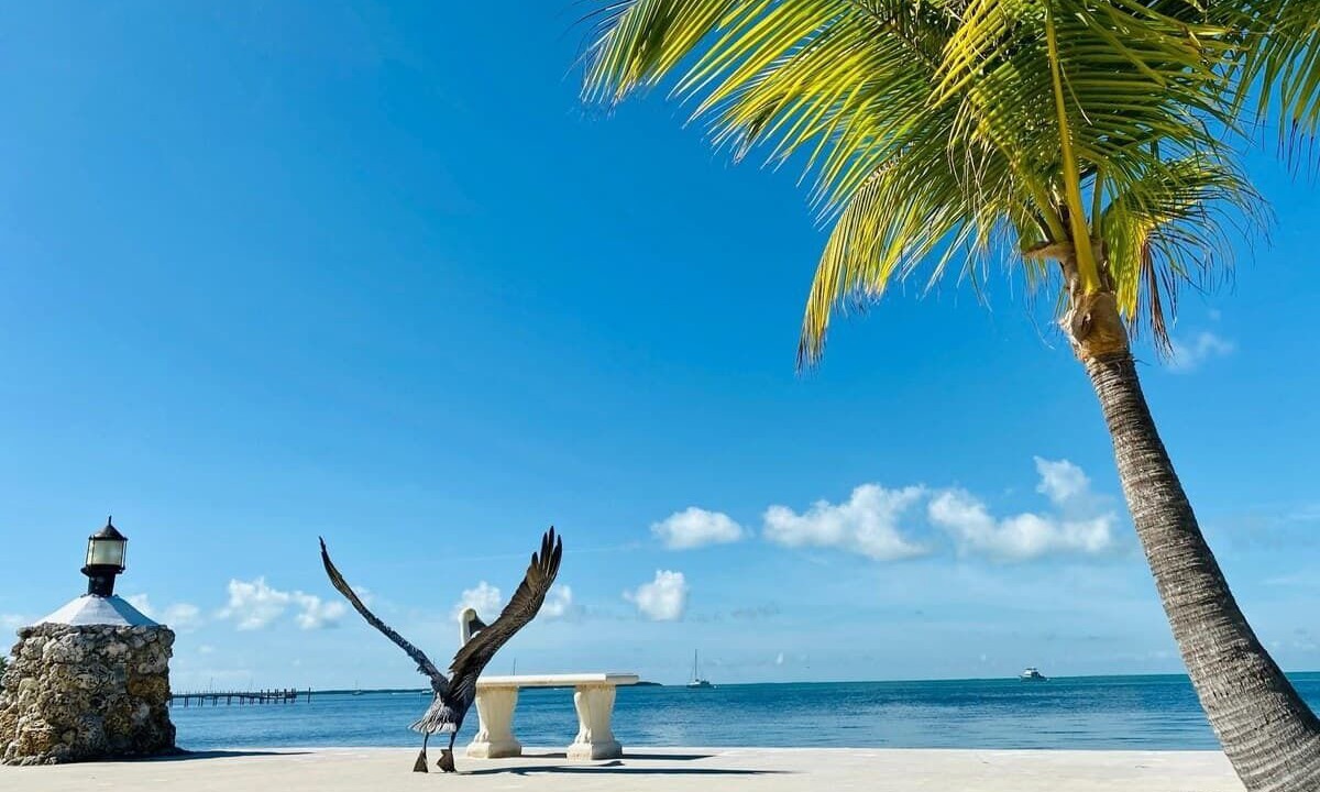 Photo of Others in Islamorada