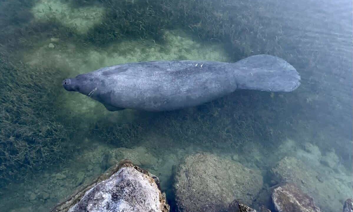 Photo of Others in Islamorada