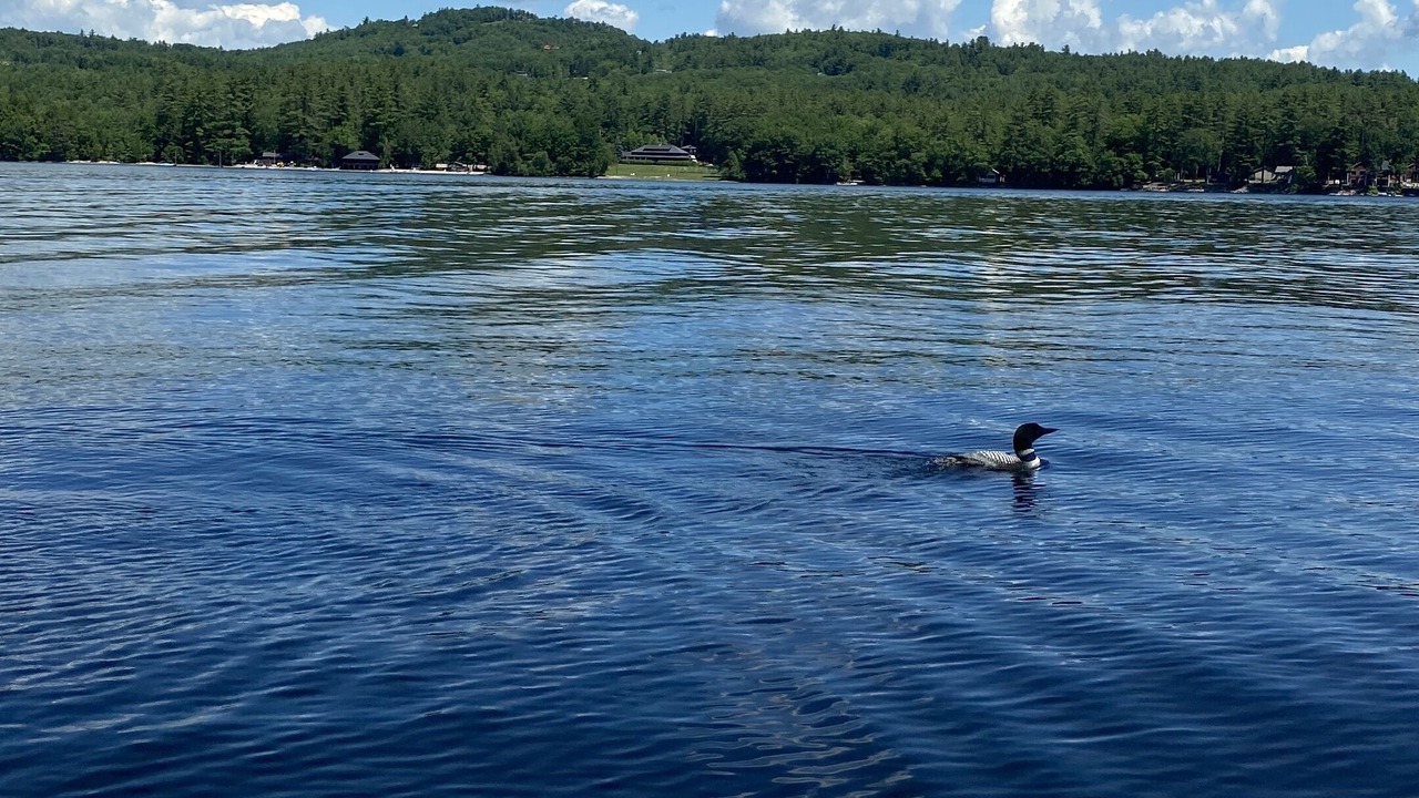 Photo of Others in Harrison