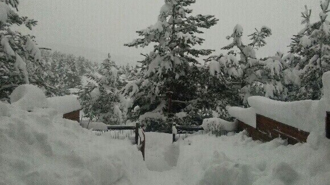 Photo of Outdoor in Greolieres les Neiges