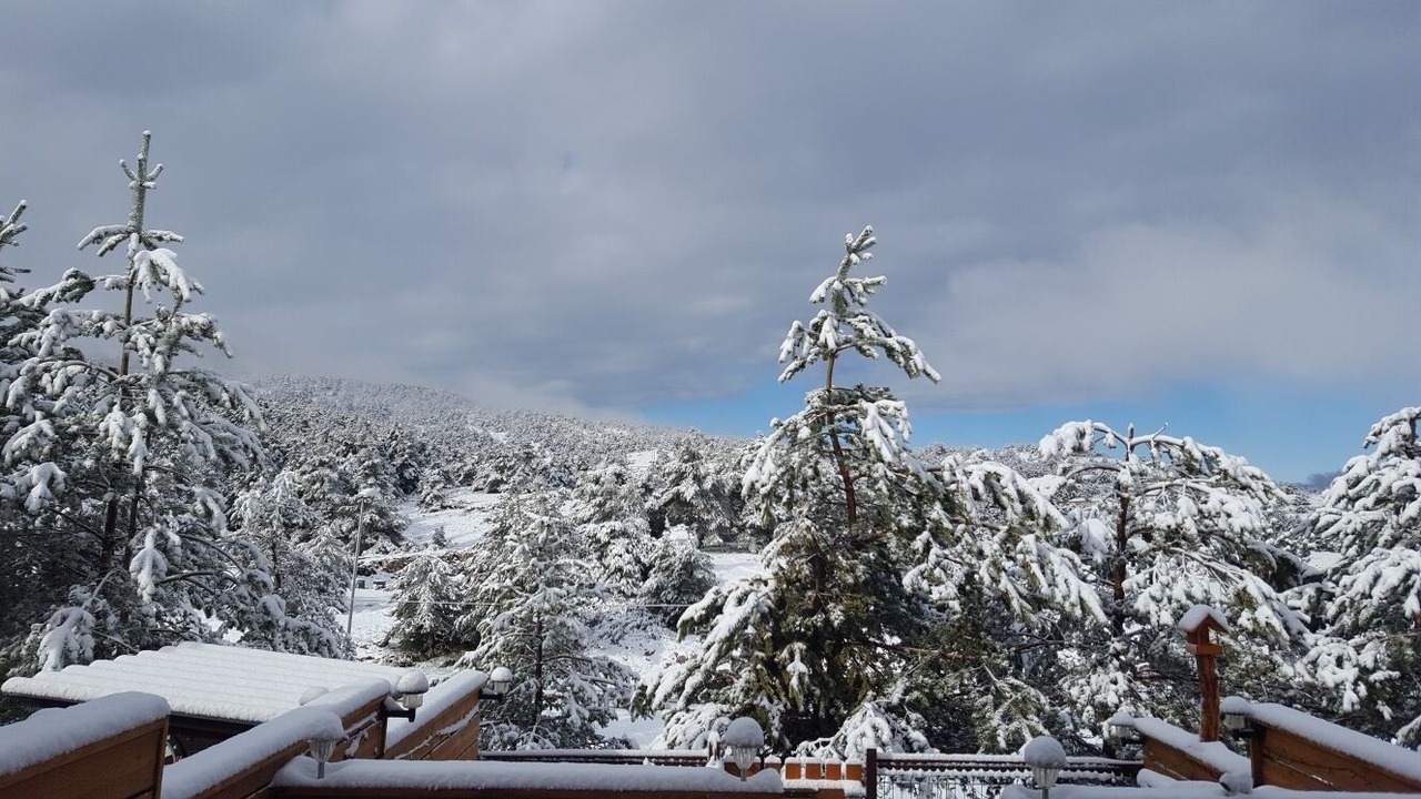 Photo of Others in Greolieres les Neiges