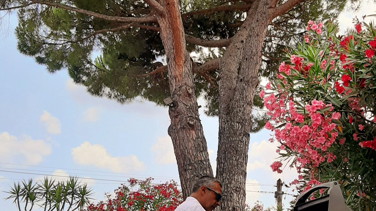 Photo of Outdoor in Le Plan-de-Grasse