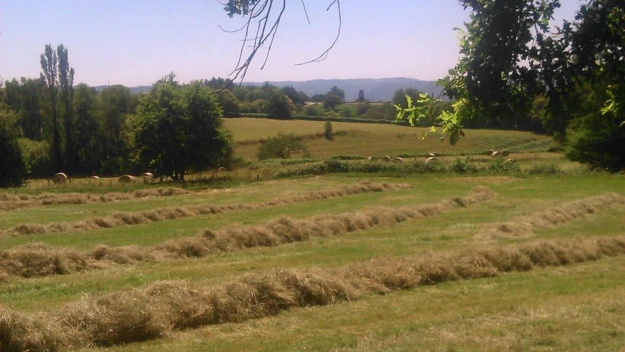 Photo of Outdoor in Hautefage