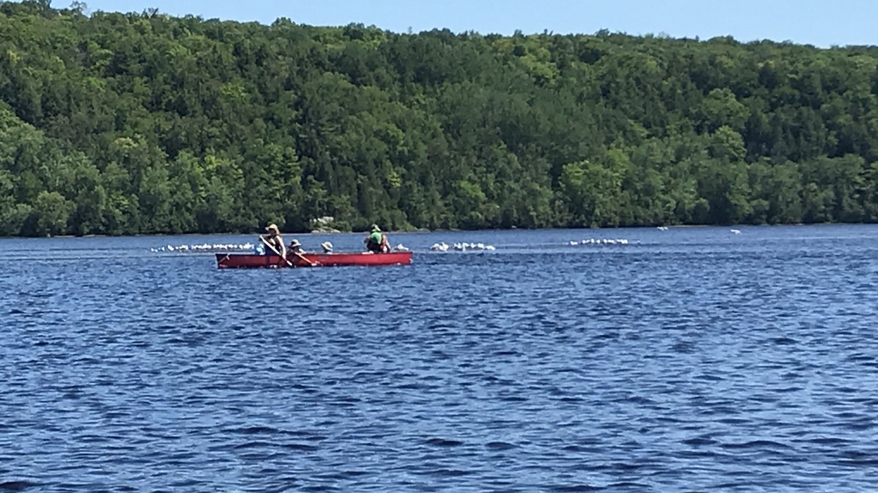 Photo of Others in Saint-Boniface