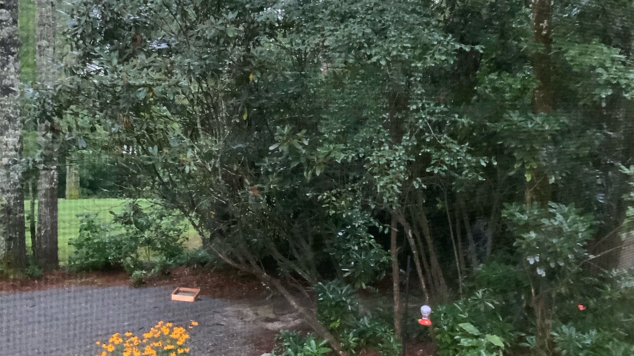 Photo of Outdoor in Brevard