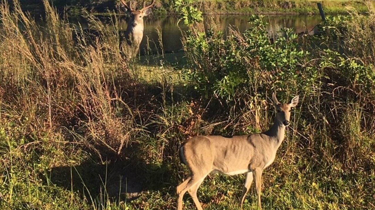 Photo of Others in Rockport