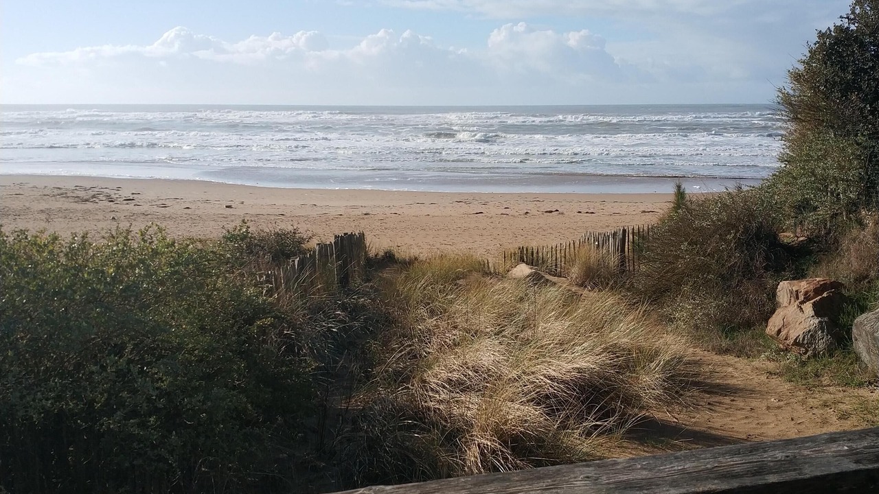 Photo of Others in Bourgenay