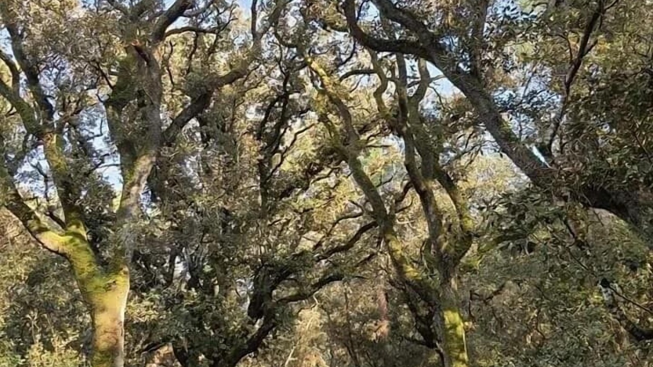 Photo of Outdoor in Bourgenay