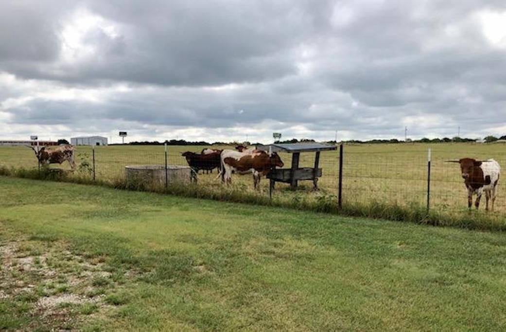 Photo of Outdoor in Graford