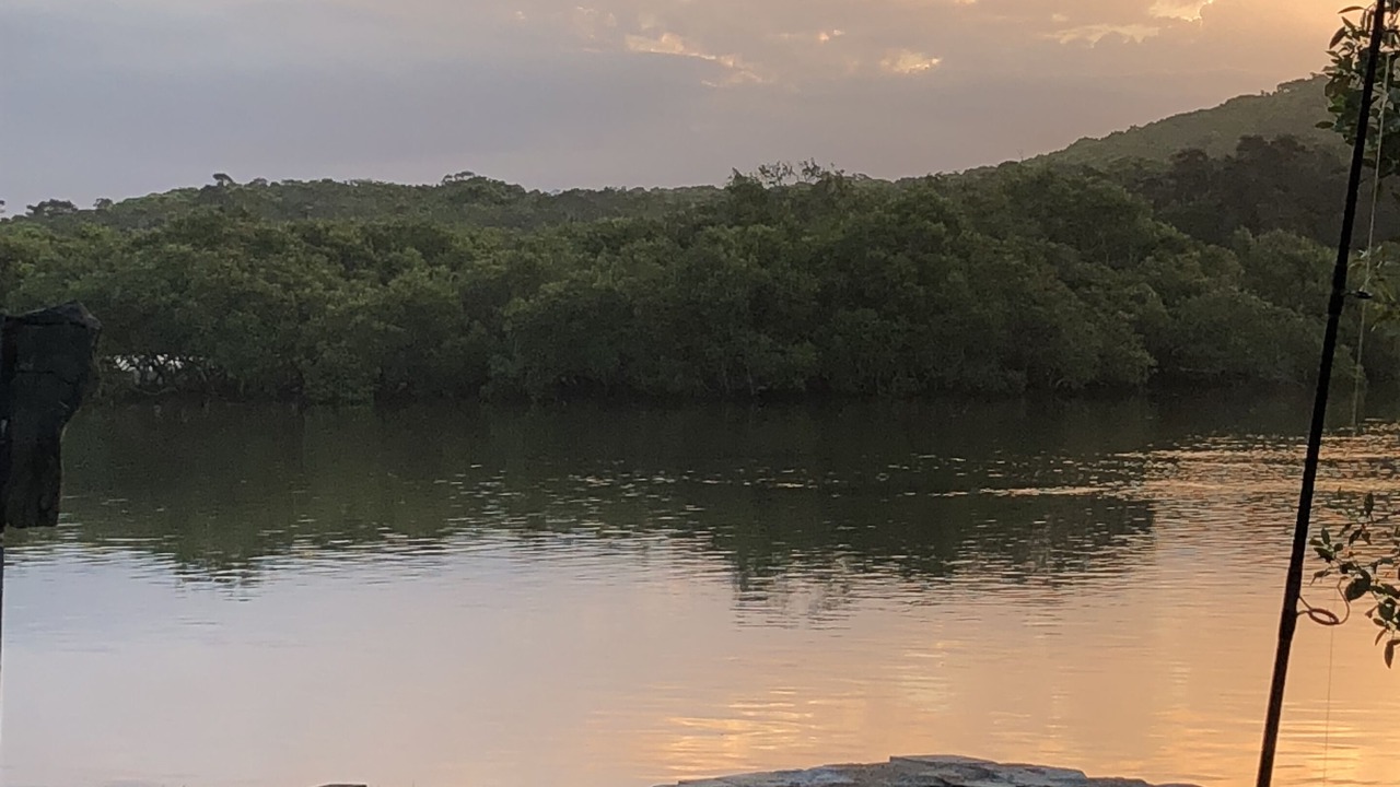 Photo of Others in Hastings Point