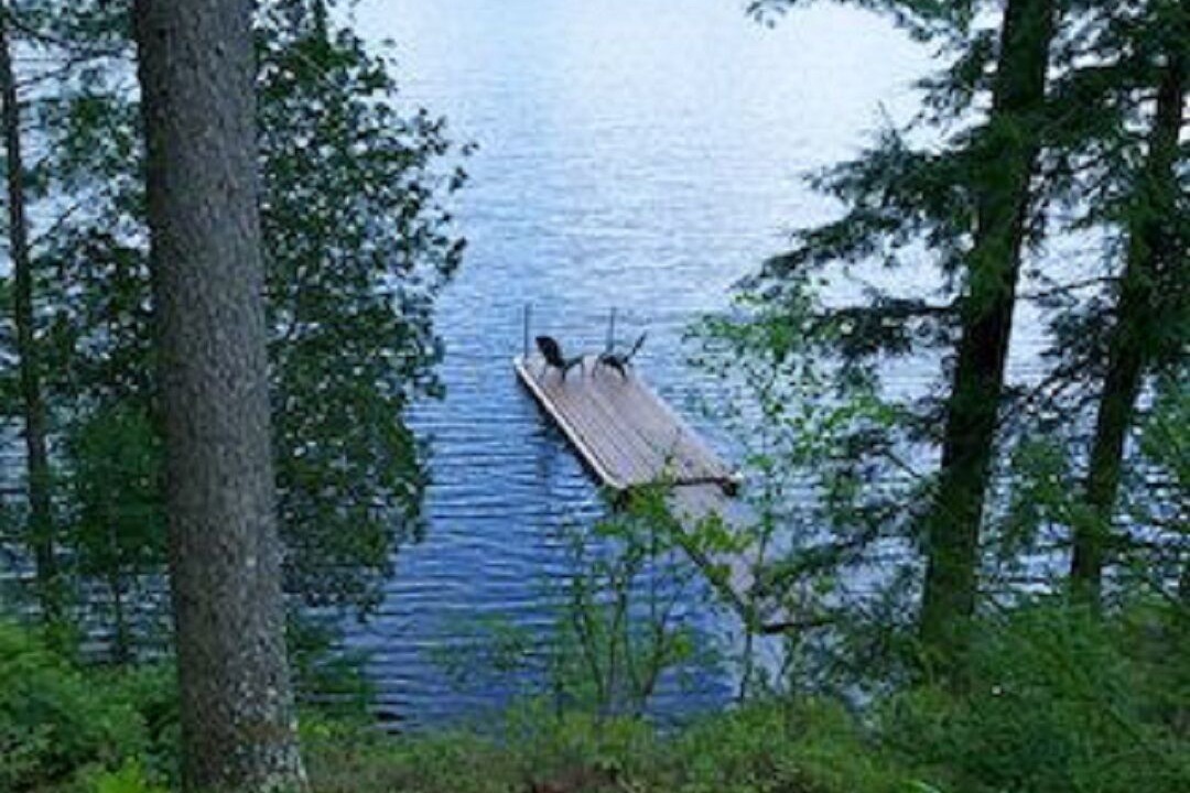 Photo of Outdoor in Long Lake