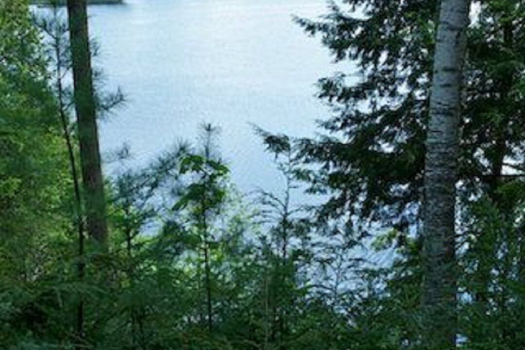 Photo of Others in Long Lake