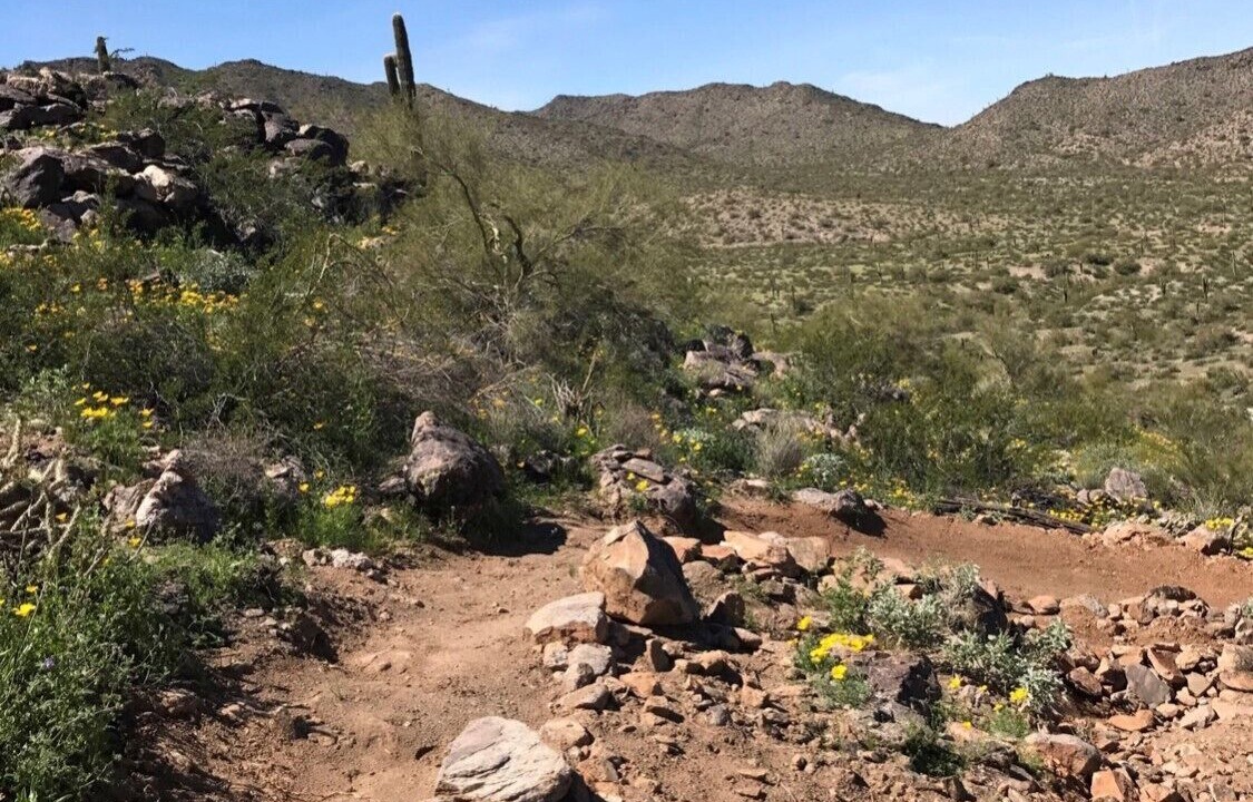 Photo of Outdoor in Estrella Mountain Ranch