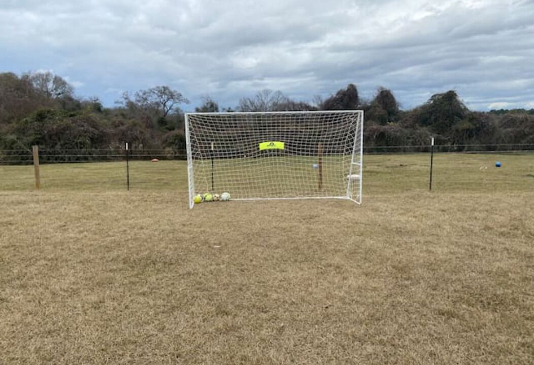 Photo of Outdoor in Hempstead