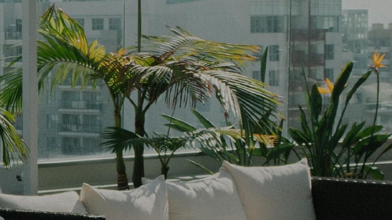 Photo of Outdoor in Lower Nob Hill