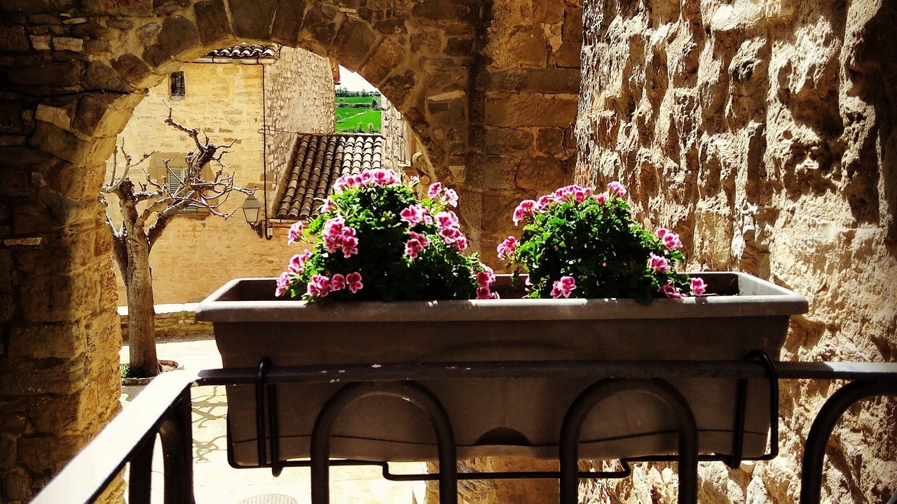 Photo of Outdoor in Torreflor