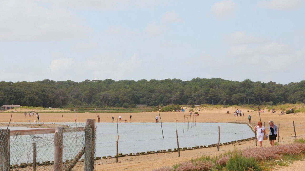 Photo of Others in Talmont-Saint-Hilaire