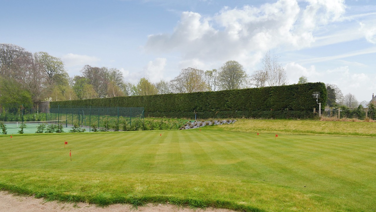 Photo of Others in Montrose