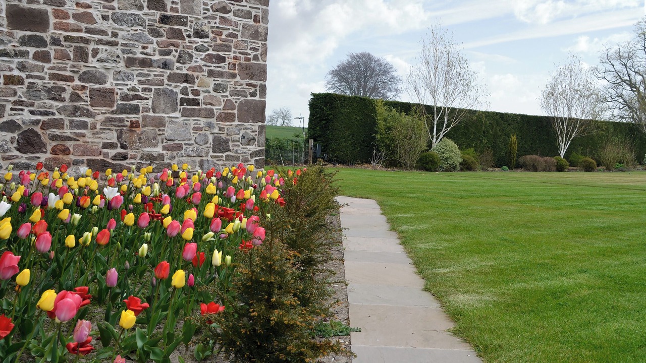 Photo of Outdoor in Montrose