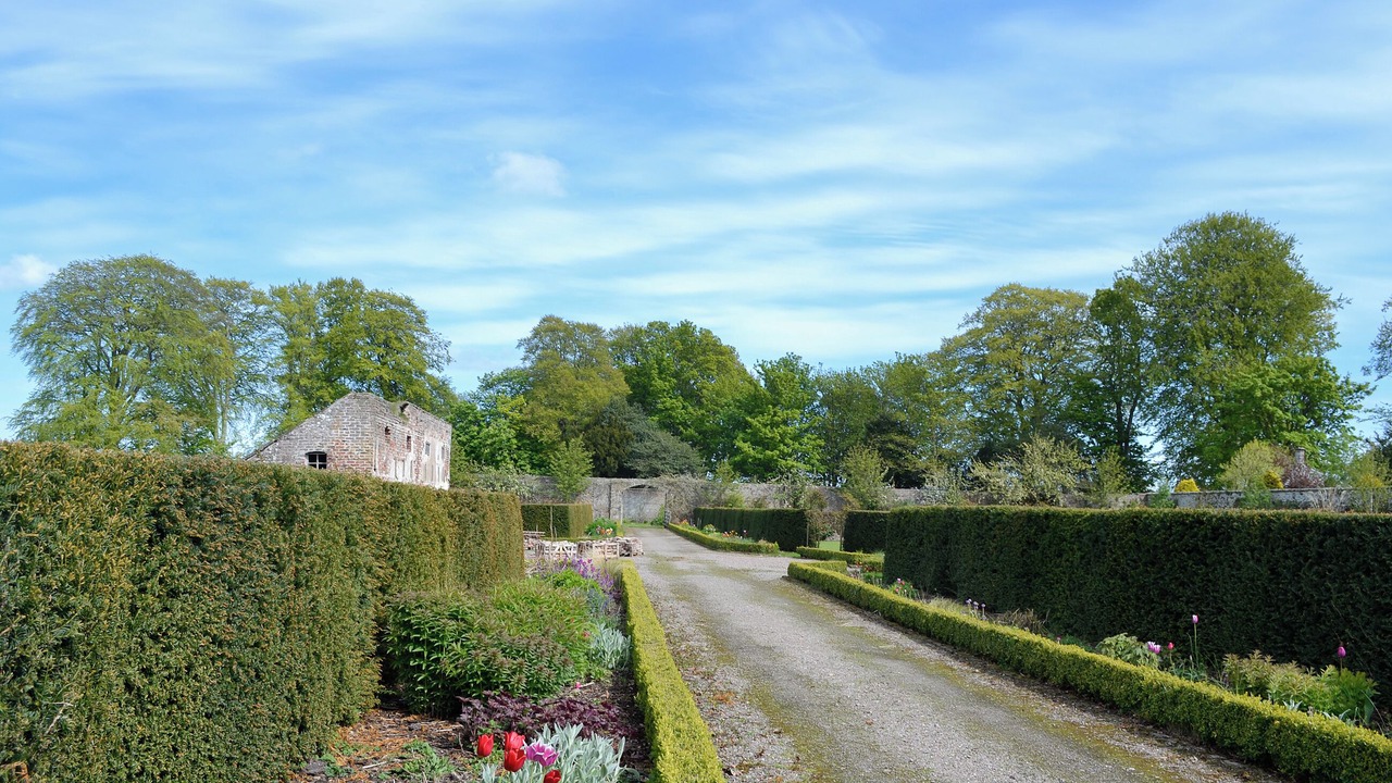 Photo of Outdoor in Montrose