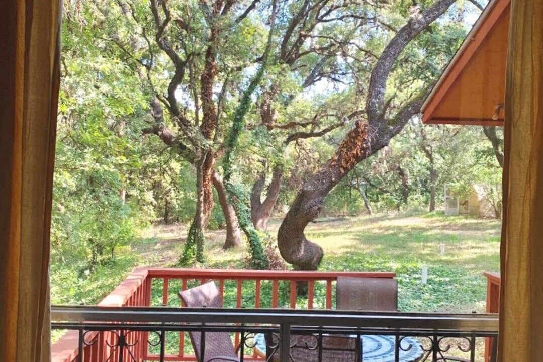 Photo of Outdoor in Helotes