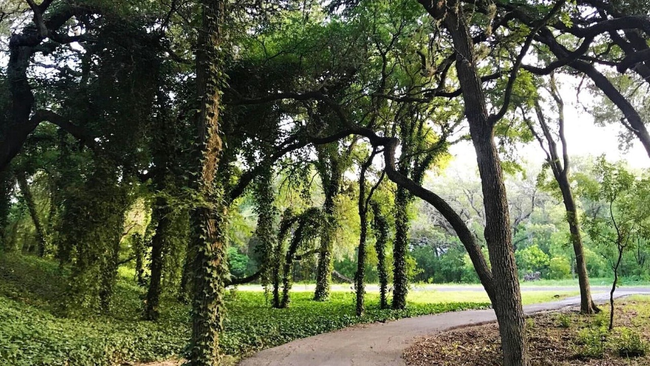 Photo of Outdoor in Helotes
