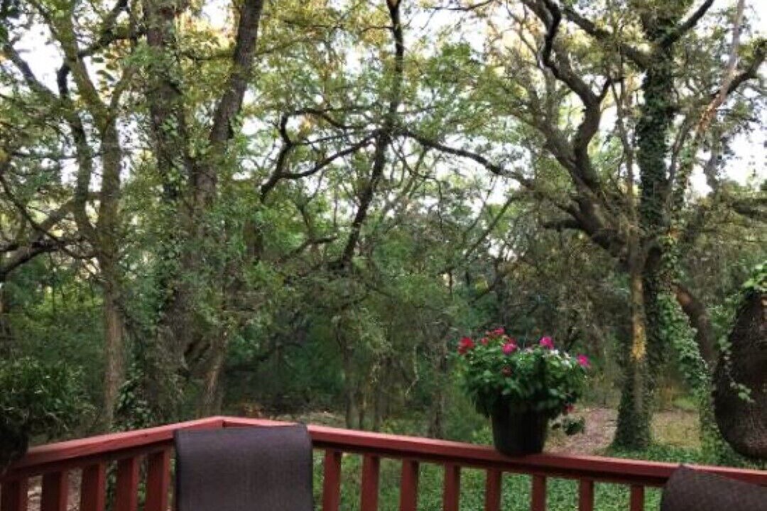 Photo of Outdoor in Helotes