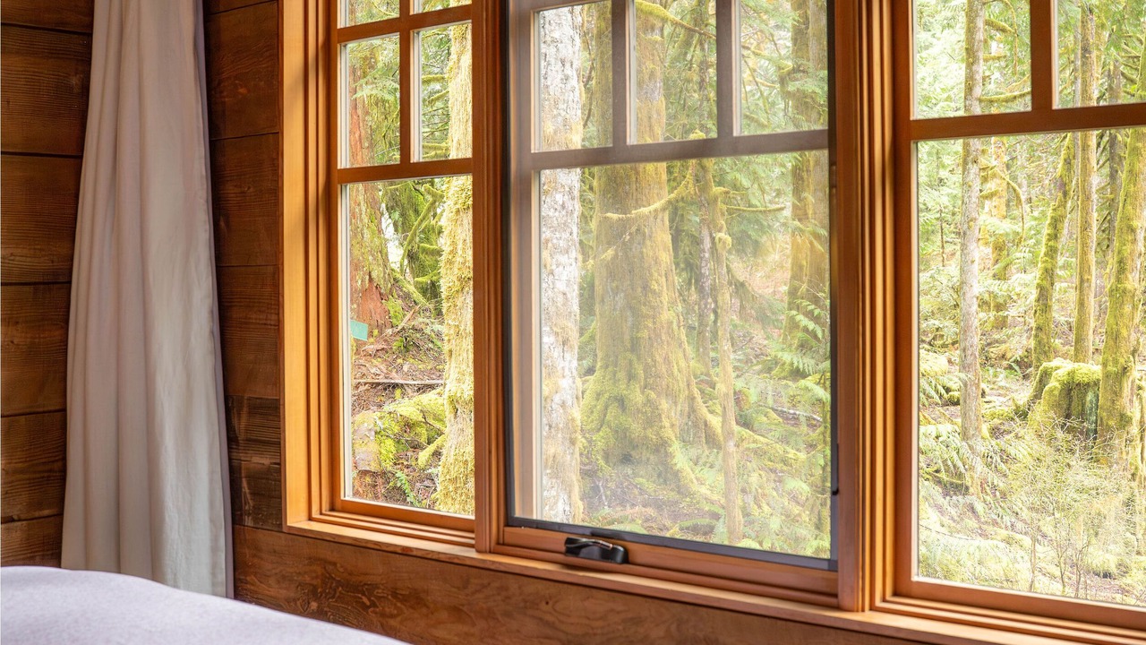 Photo of Bedroom in Gold Bar