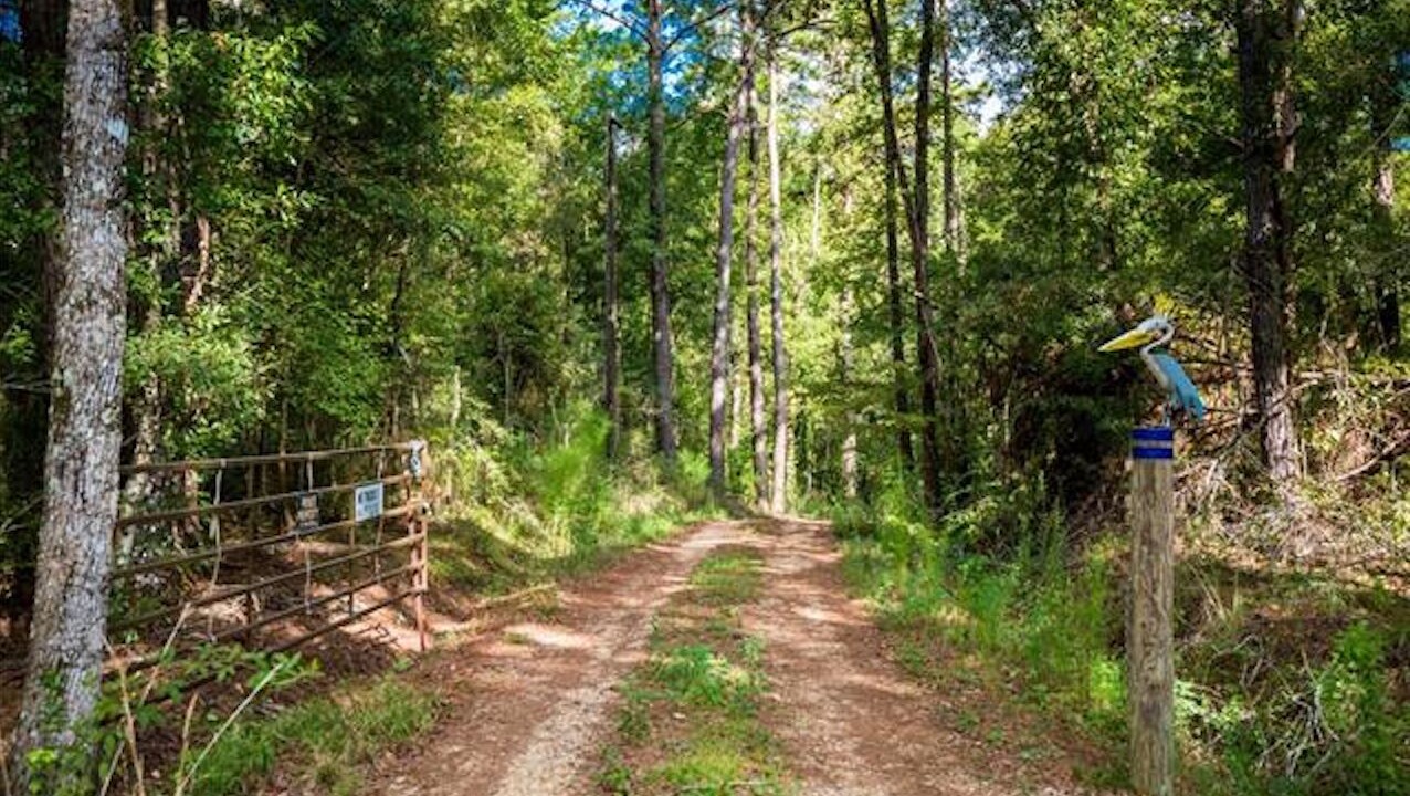 Photo of Outdoor in Fluker