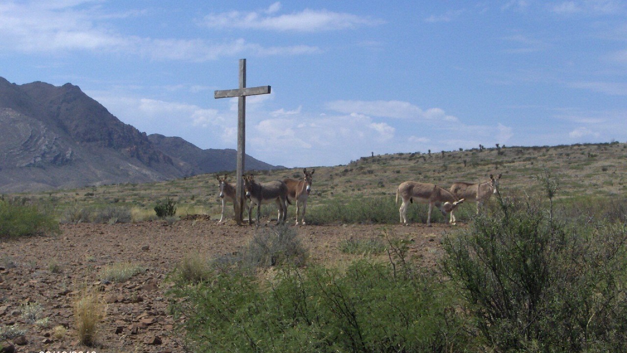 Photo of Outdoor in Brewster County