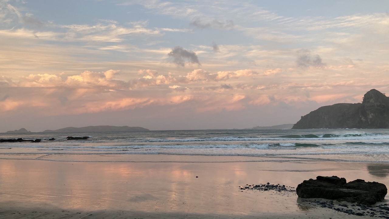 Photo of Others in Taupo Bay