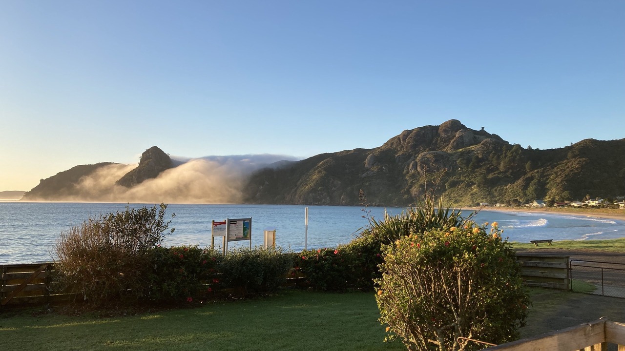 Photo of Others in Taupo Bay